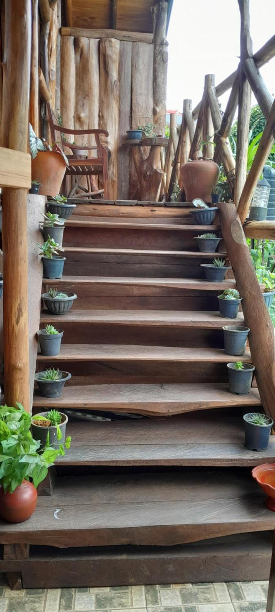ホテル Eco Creations Nuwaraeliya ヌワラ・エリヤ エクステリア 写真